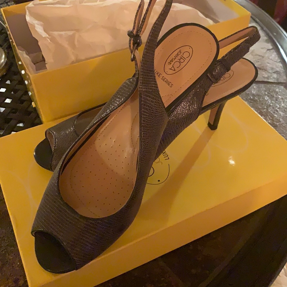 Joan and David Pumps NWOT